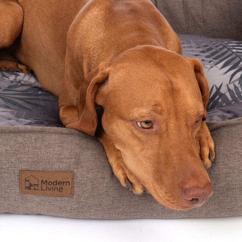 Modern Living Hundebett Ibiza zu TOP-Preisen