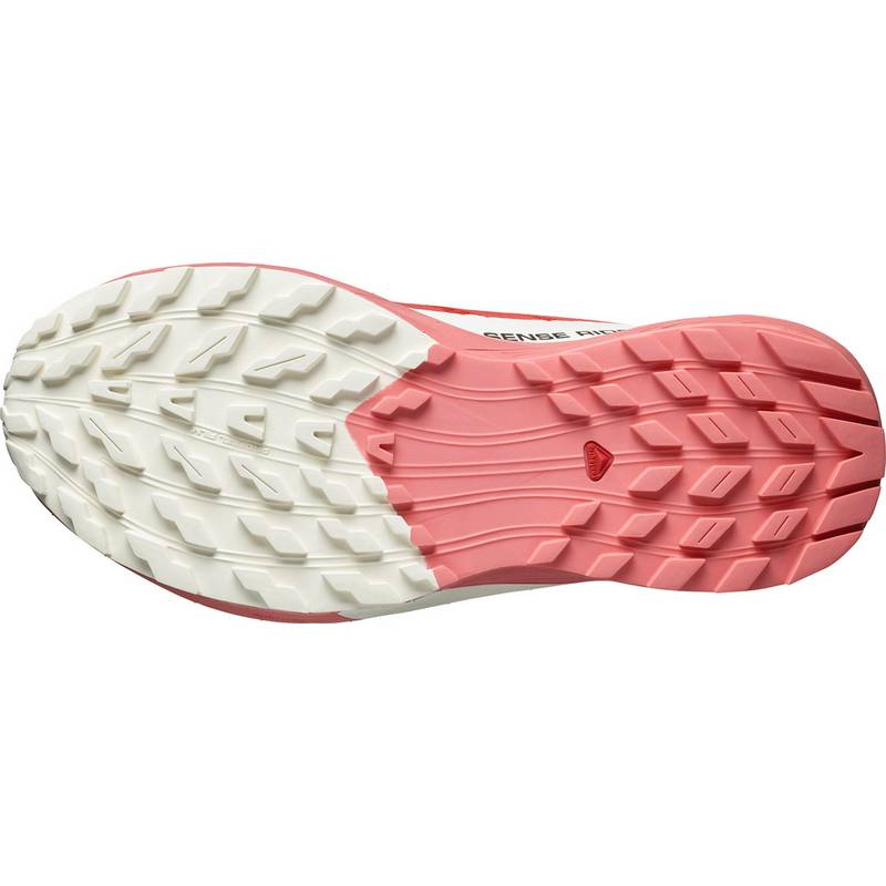 Salomon SENSE RIDE 5 Laufschuhe Damen