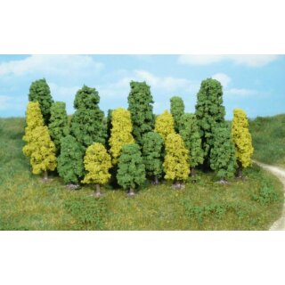 Laubbäume 4-8 cm (20 Stk.)