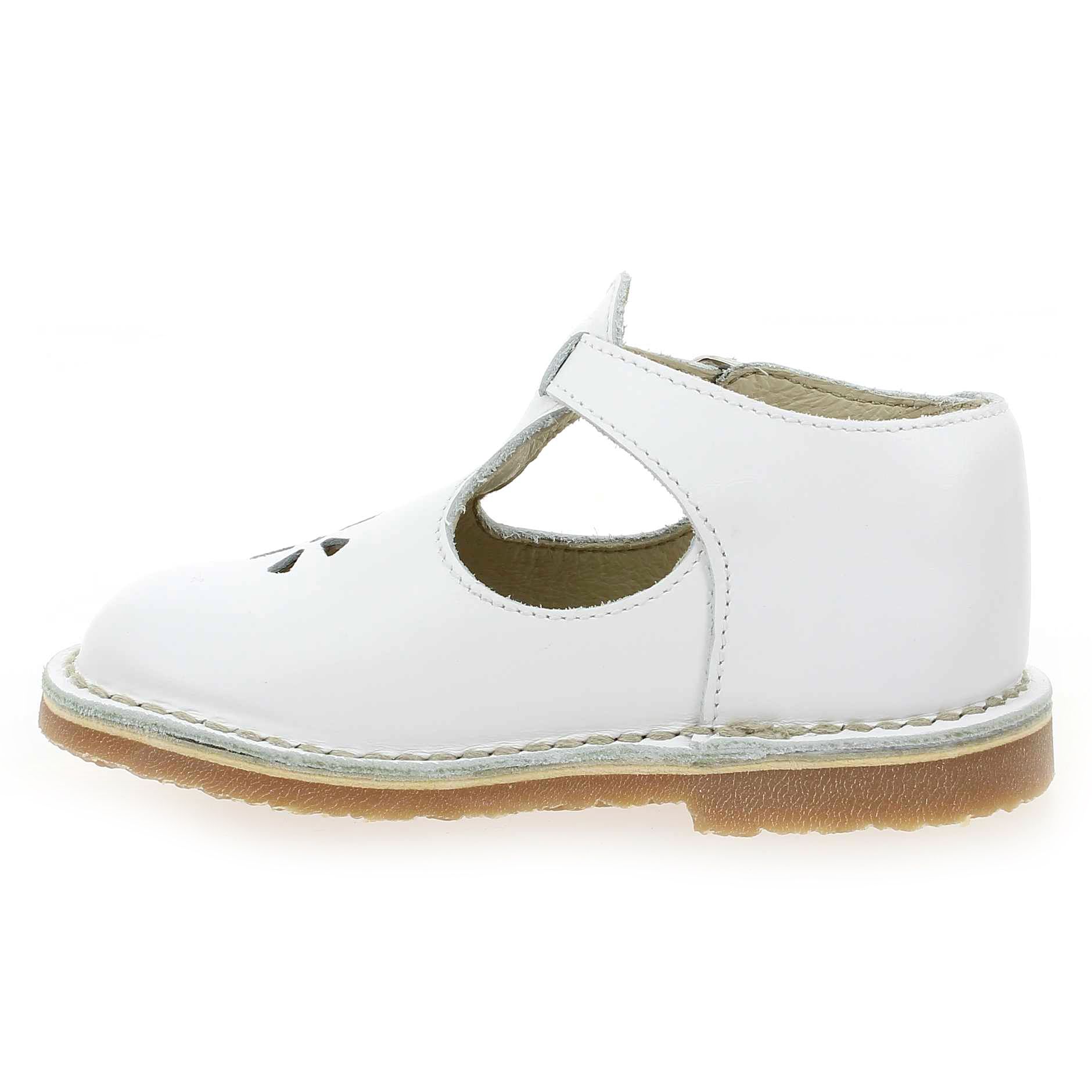 Aster  BIMBO - Blanc