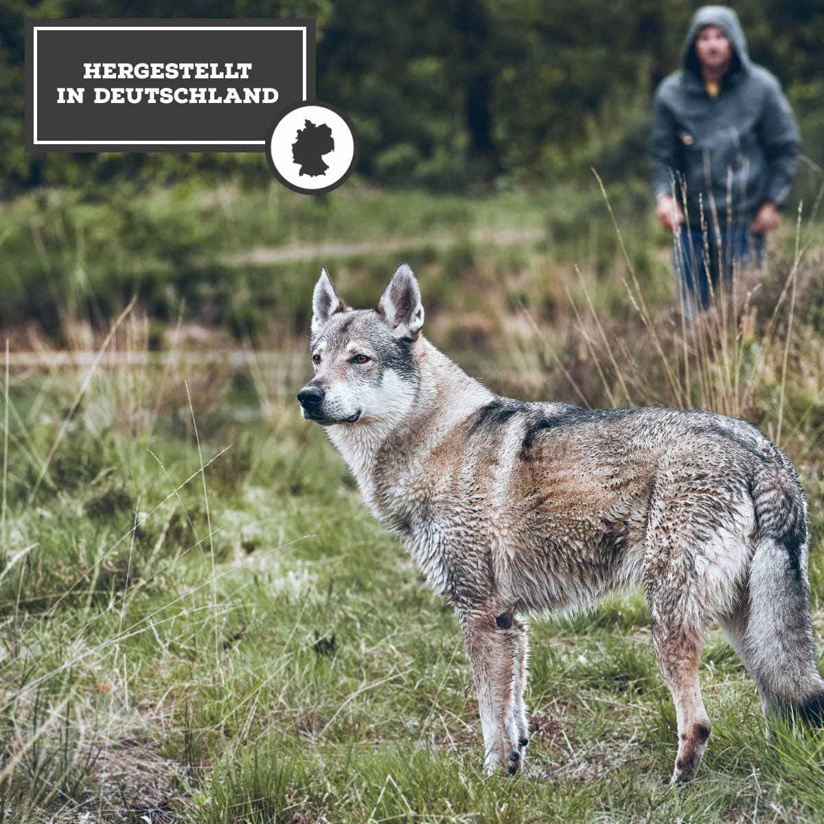 MOON Ranger Wildlachs Streifen günstig kaufen