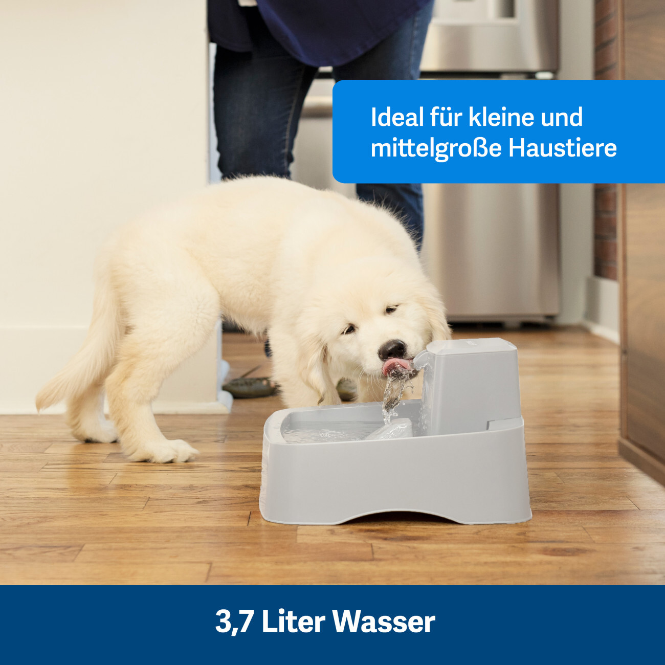 PetSafe Trinkbrunnen PetSafe Trinkbrunnen 3,7 l