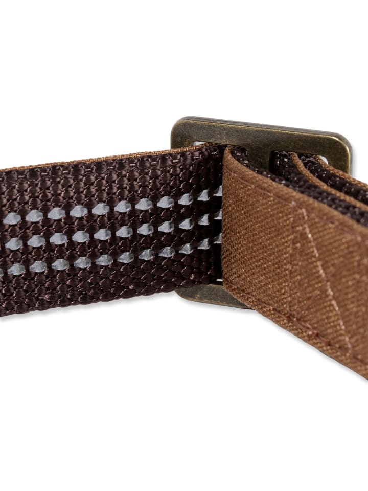 CARHARTT  Hundehalsband 