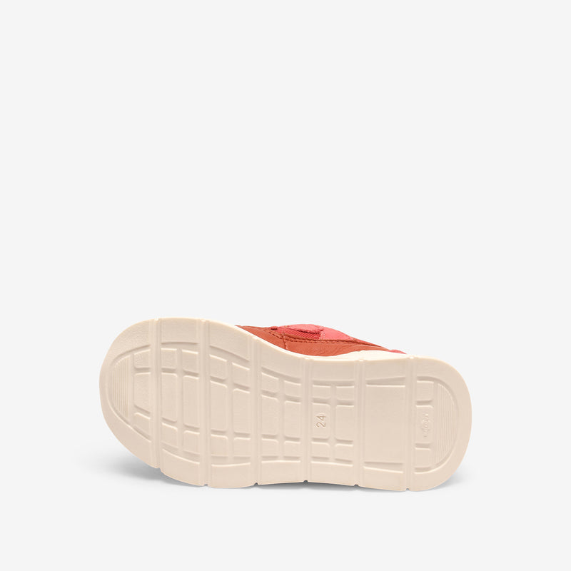 pan tex brick - Rot