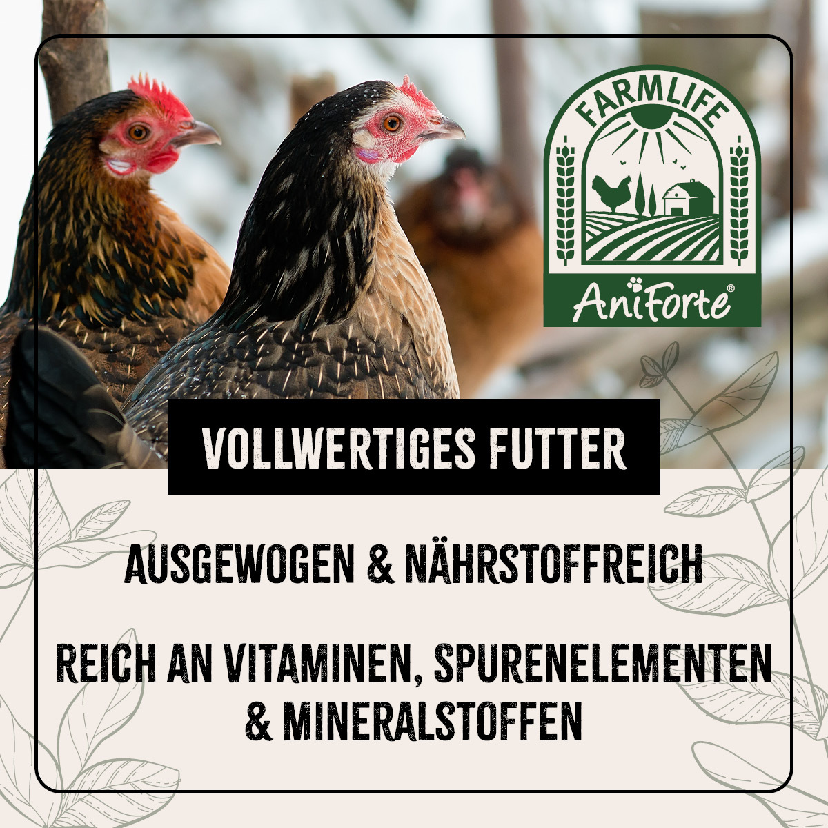 Aniforte Futter & Heu Aniforte FarmLife Hühner Futter Mix mit Oregano 5 kg