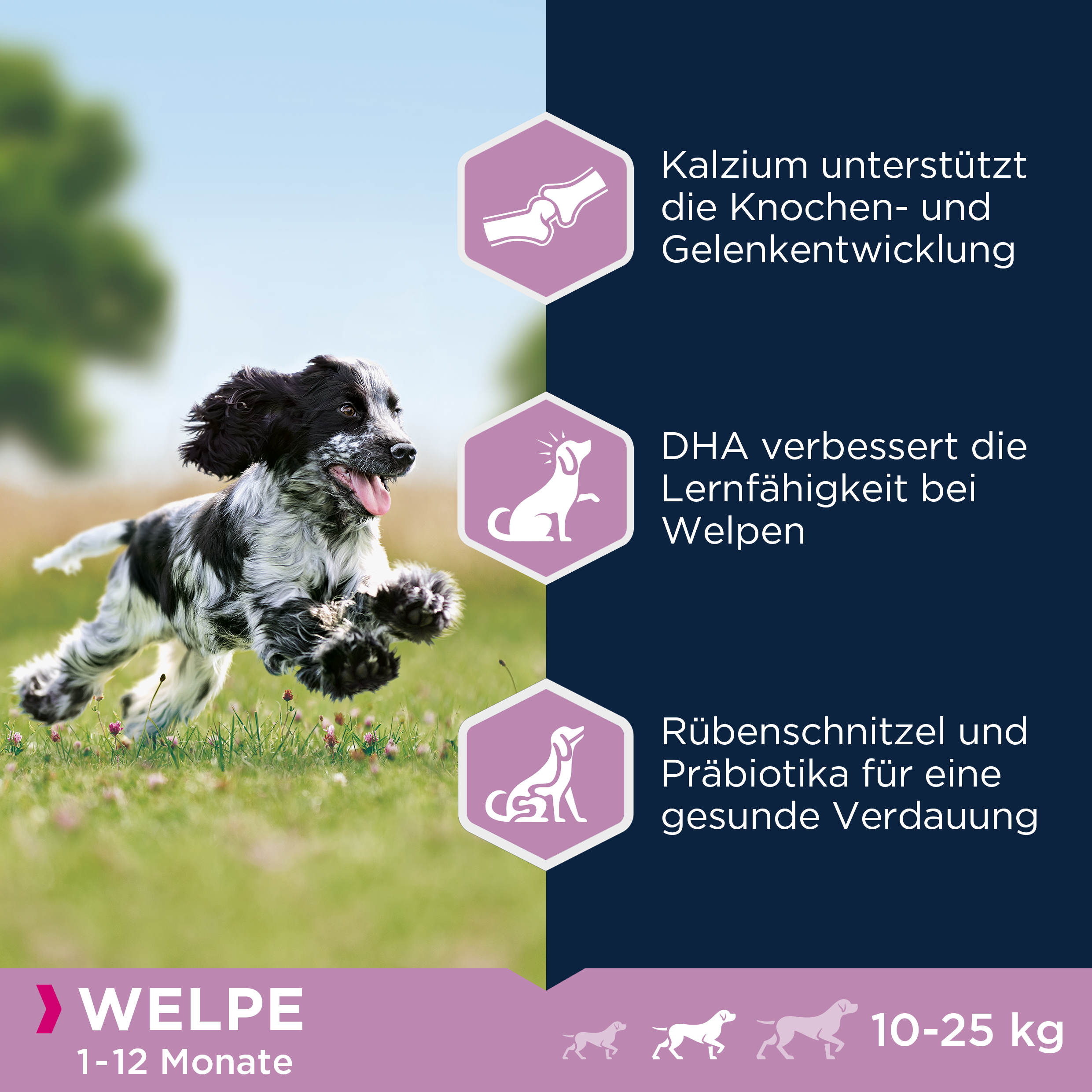 EUKANUBA Hundetrockenfutter EUKANUBA Puppy Medium Breed Chicken 15 kg