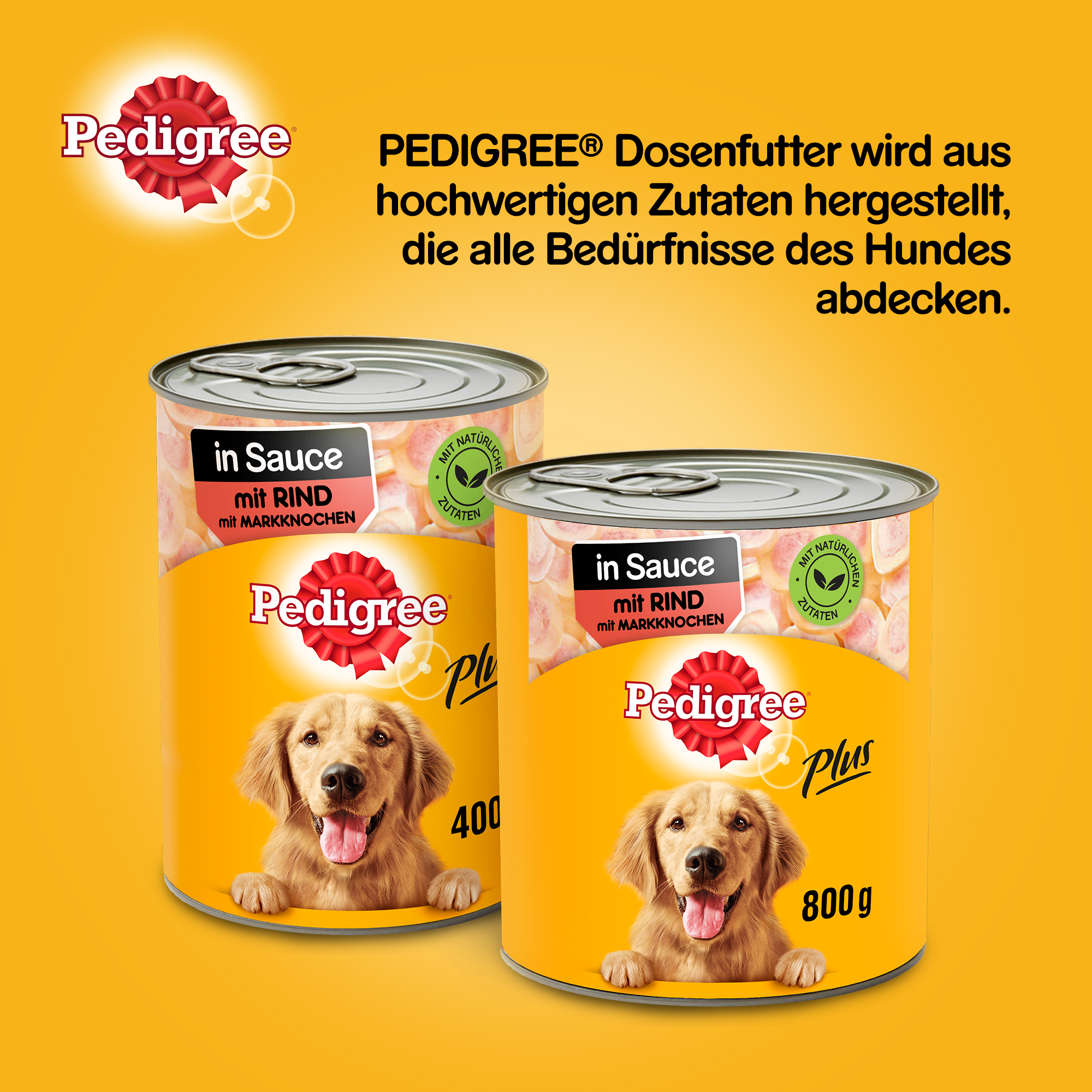 Pedigree Hundenassfutter Pedigree Adult Plus 12x800g Rind mit Markknochen, in Sauce