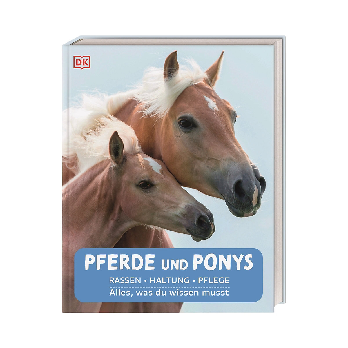 Pferde und Ponys