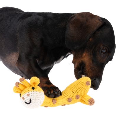 TIAKI Gestricktes Hundespielzeug Giraffe