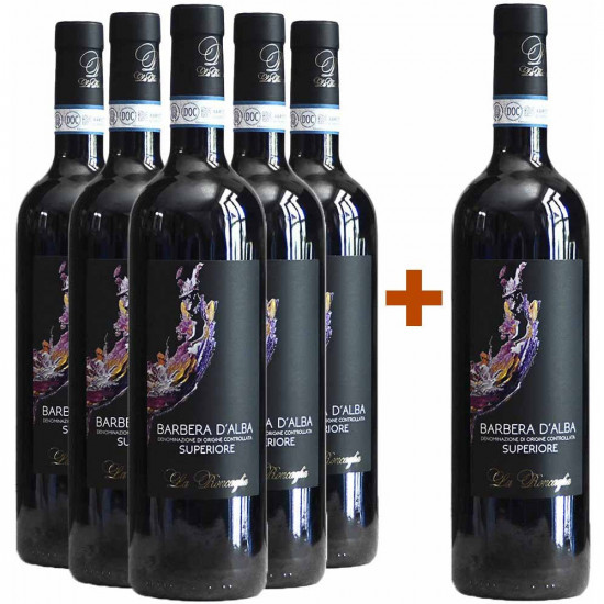 5+1 Paket Barbera d'Alba Superiore DOC - La Roncaglia