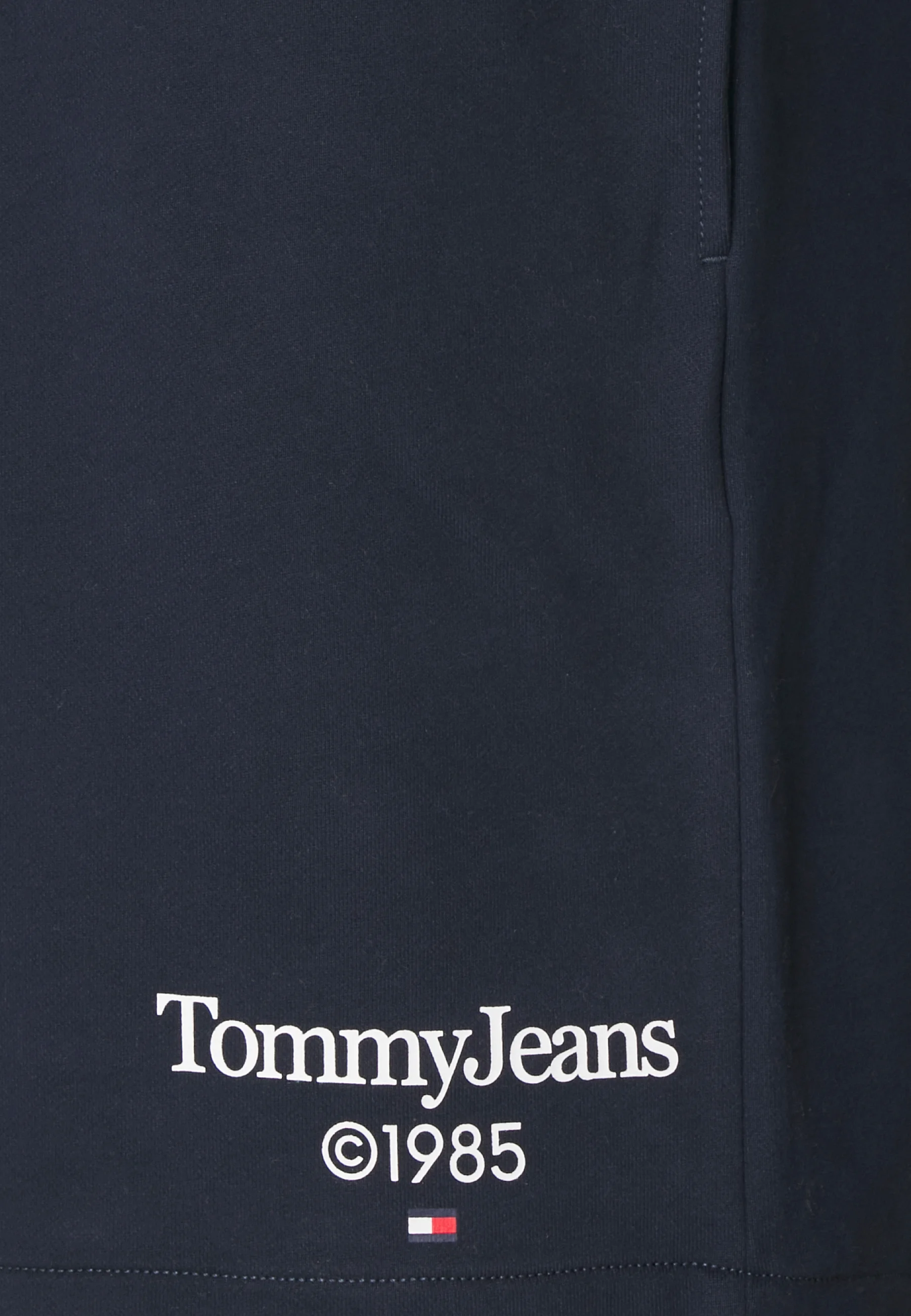 Tommy Jeans ENTRY GRAPHIC - Pantalones deportivos
