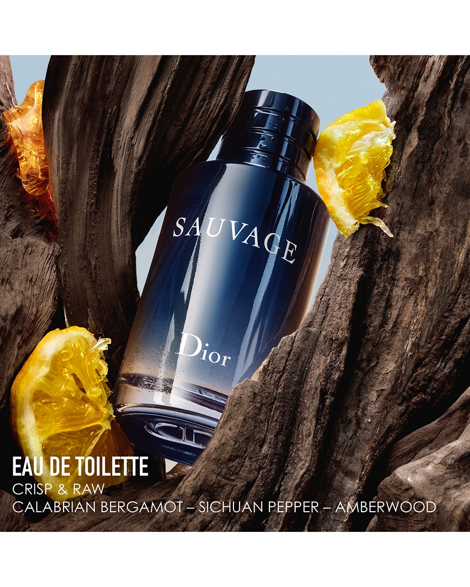 DIOR sauvage EAU DE TOILETTE - FRISSE, CITRUS EN HOUTIGE NOTEN