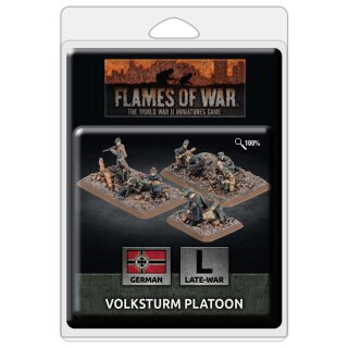 Volksturm Platoon (38)