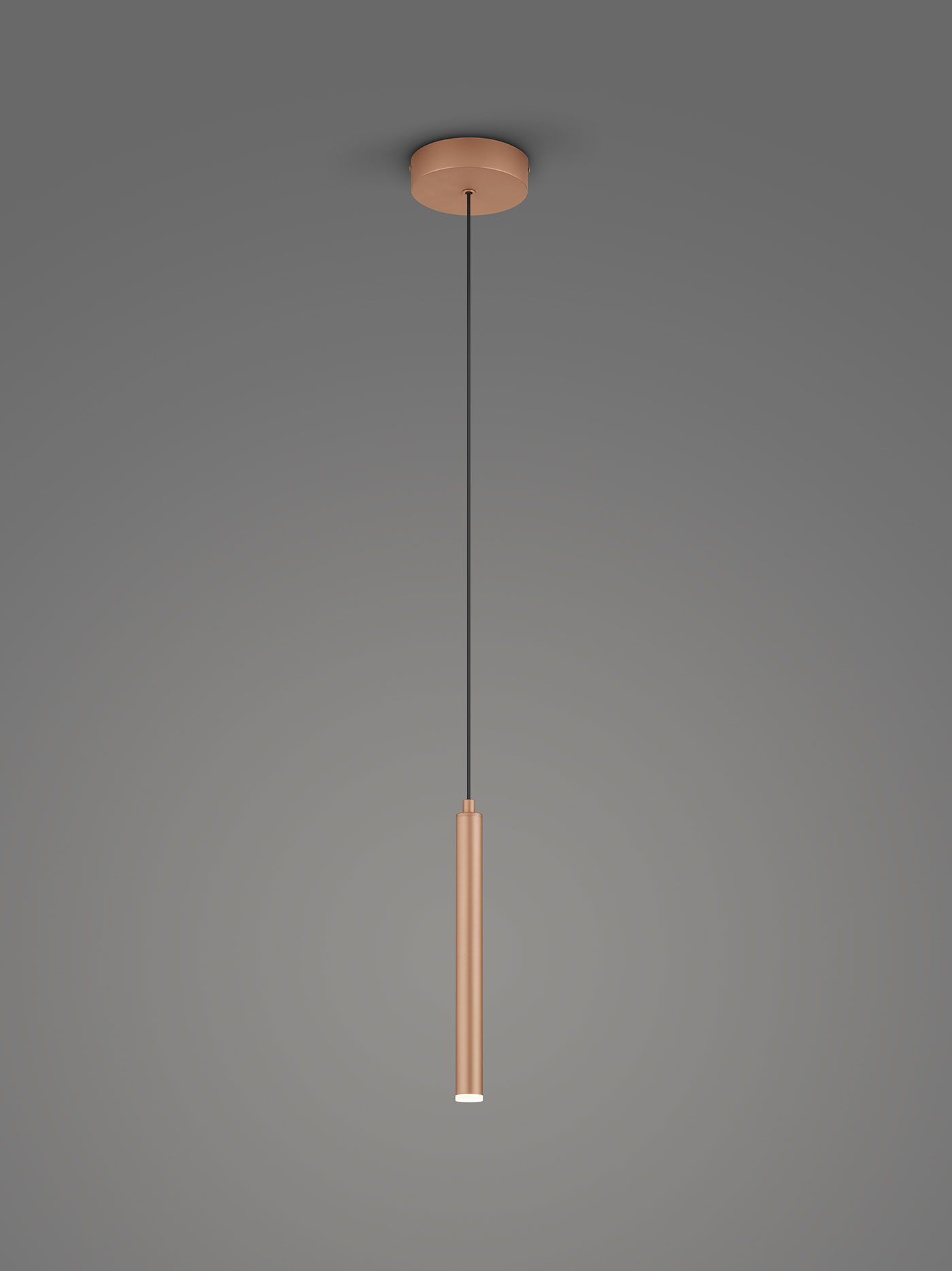 MusterringLED-Pendelleuchte 1flg