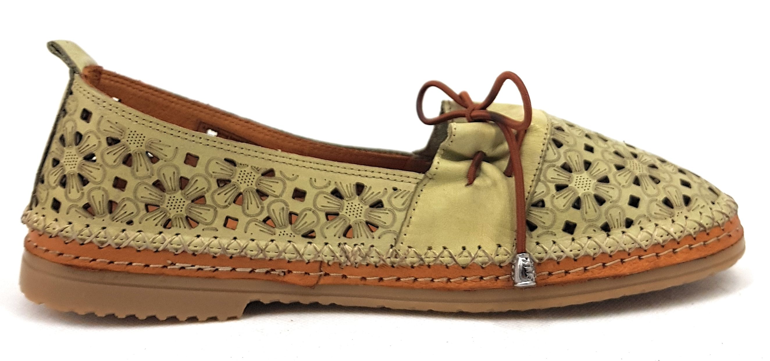 Dr. Brinkmann 840003 Grün pistazie (hellgrün)