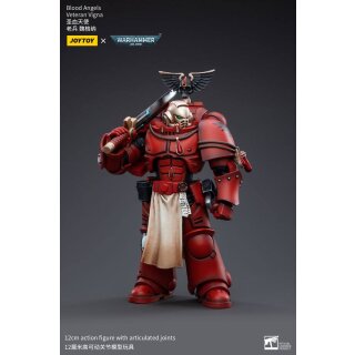 Warhammer 40k Actionfigur: Blood Angels Veteran Vigna