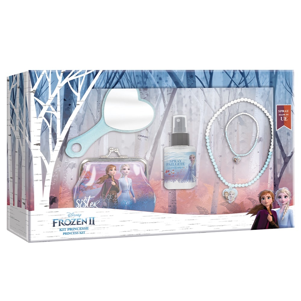 Disney COFFRET PRINCESSE KIT