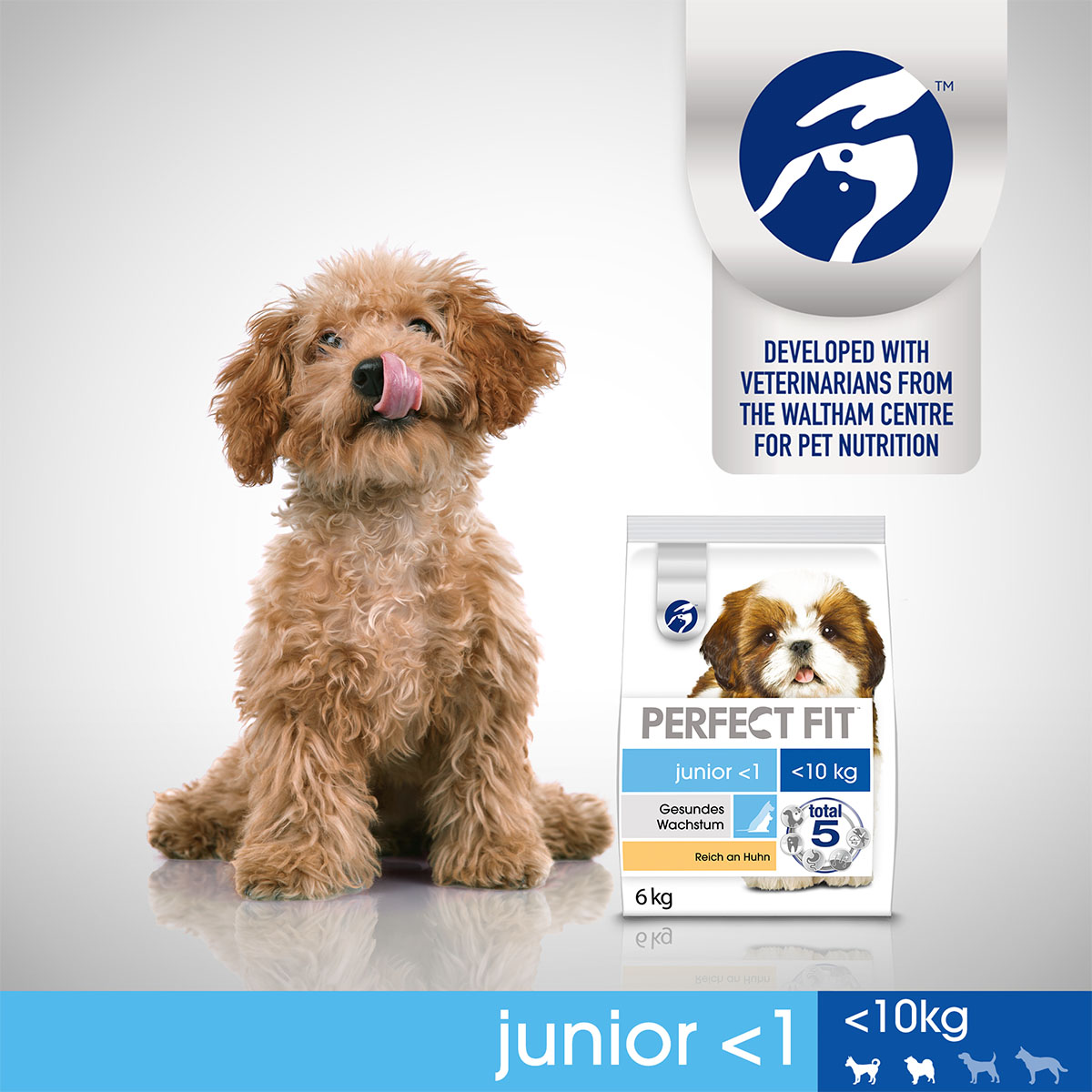 PERFECT FIT Hund Junior <1 XS/S Huhn 6kg kaufen bei ZooRoyal