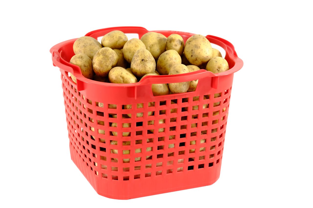 GreenLife Uni-Korb 25 kg, 10 Stück, drehstapelbar, rot