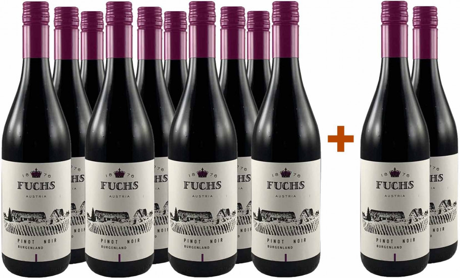 10+2 Burgenland Pinot Noir trocken - Weingut Fuchs