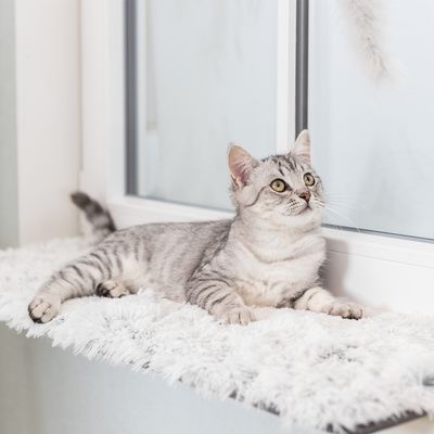 Trixie Liegematte Harvey für Fensterbank