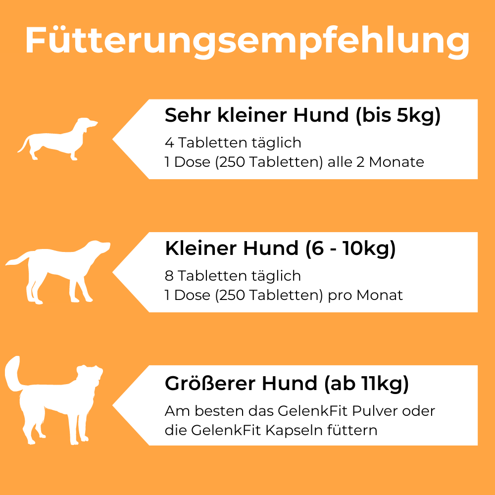 Dog-Native Ergänzungsfutter & Aufzucht Dog-Native Gelenktabletten für kleine Hunde, natürliche Gelenk-Tabletten mit Grünlippmuschel, MSM, Kollagen-Hydrolysat und Chondroitin, hochdosiert für Gelenke, 250 Tabletten