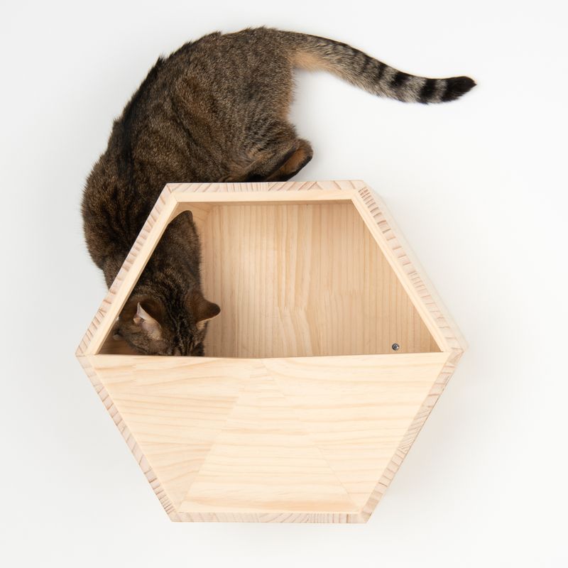 Modern Living Kratzmöbel - Katzen Parkour zur Wandmontage | bitiba
