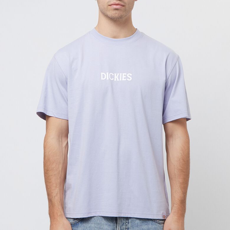 Dickies Patrick Springs Tee Short-Sleeve cosmic sky