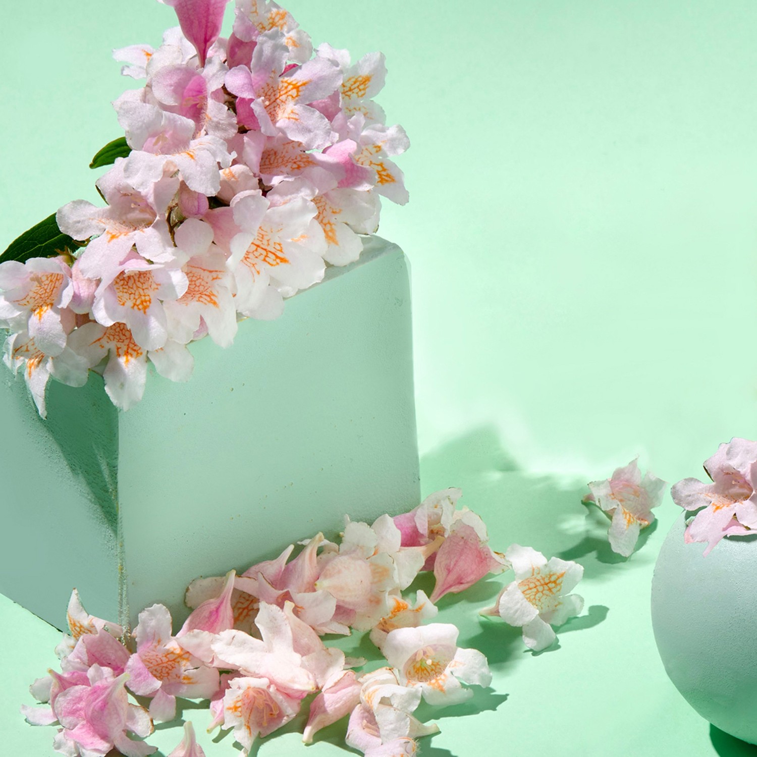 Jowaè Plumping Water Mask z wodą z kwiatów sakury