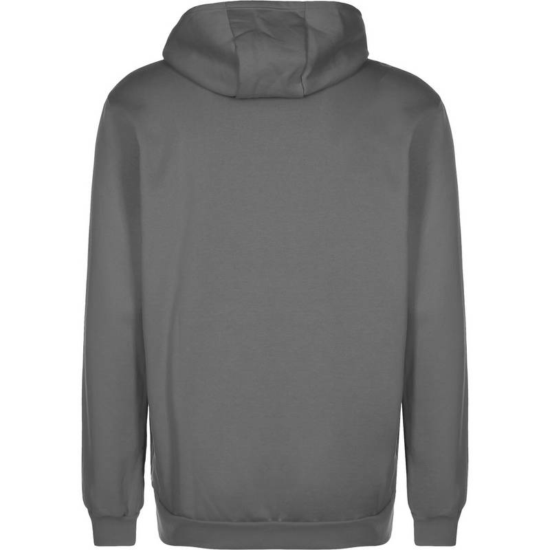 adidas Entrada 22 Hoodie Herren