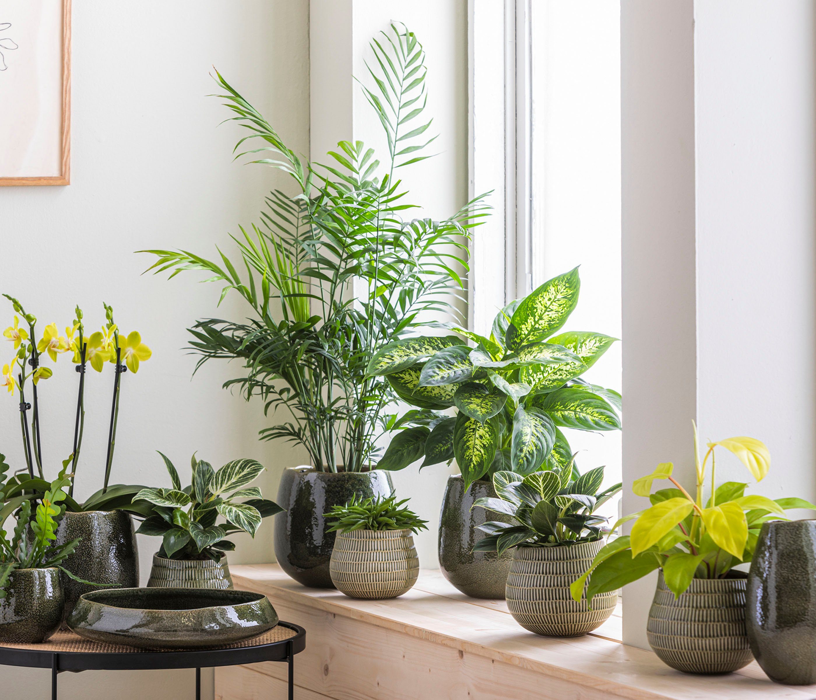 Dehner Übertopf Vase Linn, Keramik, lasiert, dunkelgrün, handgefertige Blumenvase oder als Übertopf
