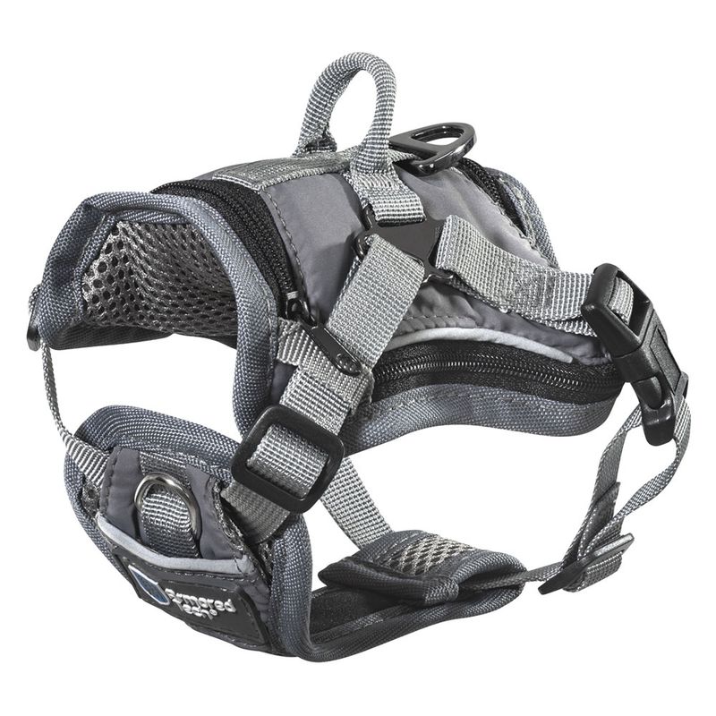 ArmoredTech All Weather Geschirr, grau zu TOP-Preisen | bitiba %