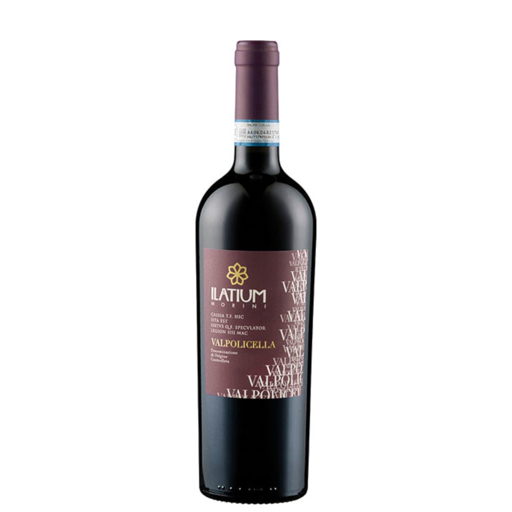 2021 Valpolicella trocken