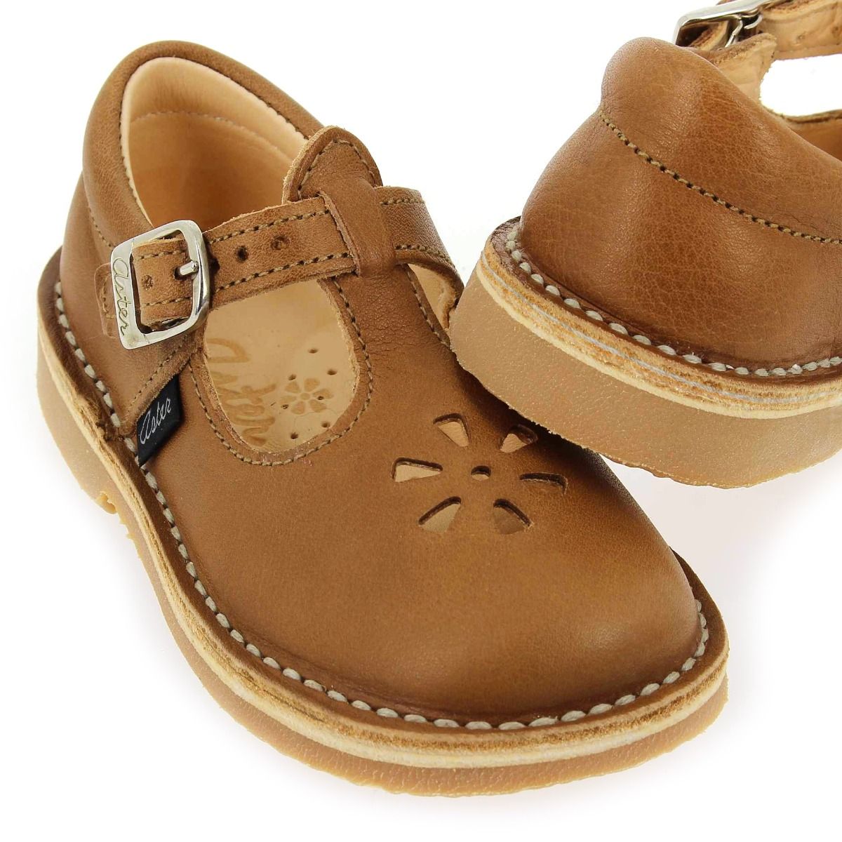 Aster  DINGO 2 - Cognac