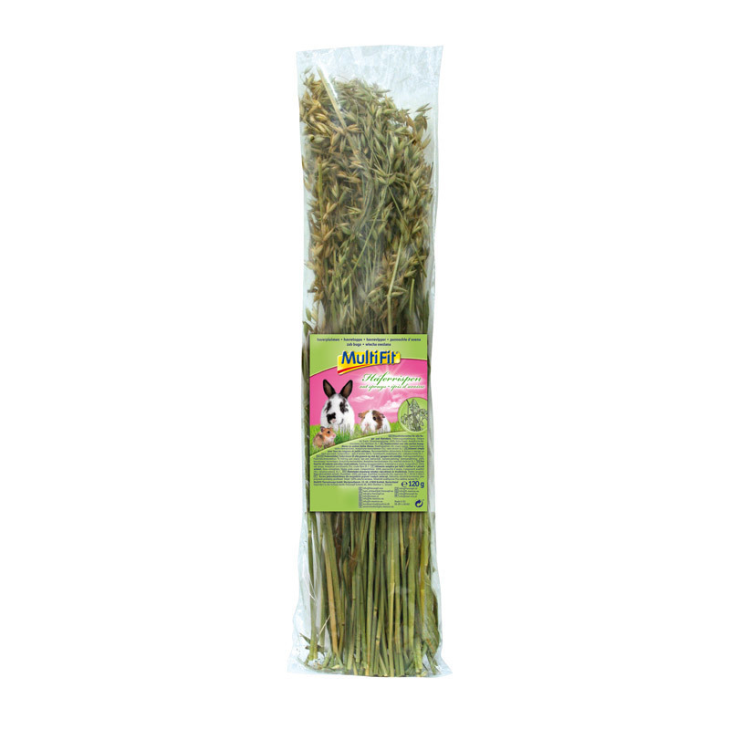 MultiFit Snacks MultiFit Haferrispen 120 g