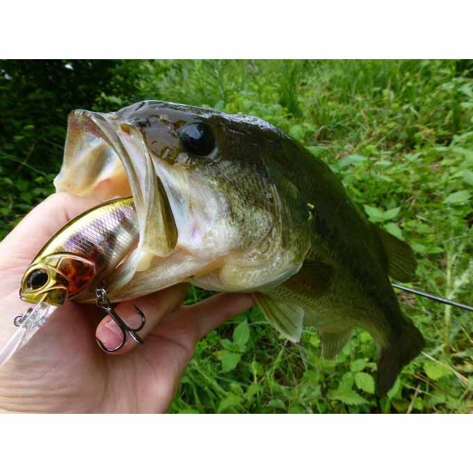 Hard Crankbait Duo Realis Crank M65 11A 6.5cm, 16g