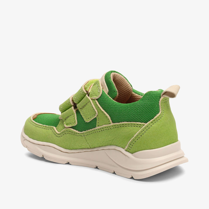 pan tex green - Grün