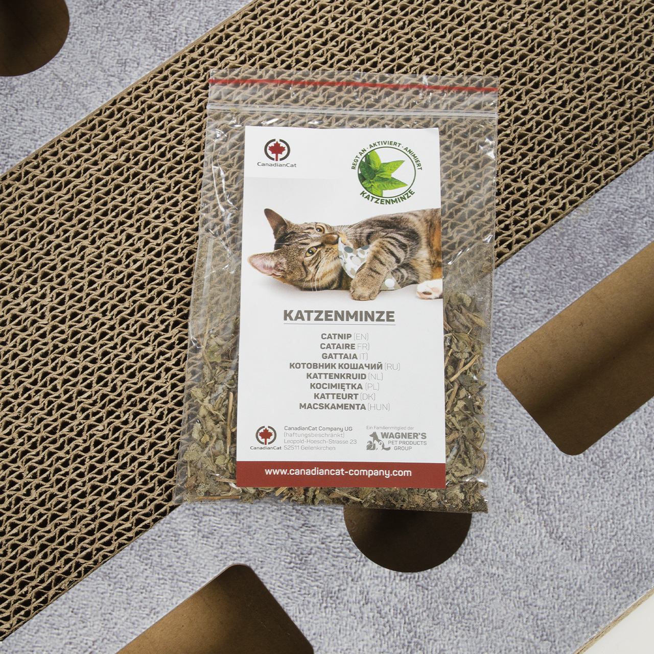 Canadian Cat Intelligenzspielzeug Canadian Cat Company Katzenspielplatz PlayPlate L hellgrau
