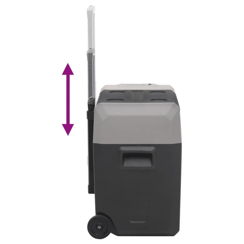 vidaXL Kühlbox Kompressor Kühlbox mit Rollen und Adapter Schwarz Grau 30 L Camping V