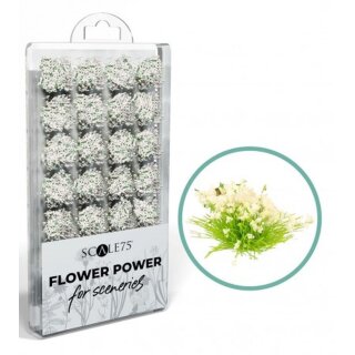 Scale75: Flower Power - White