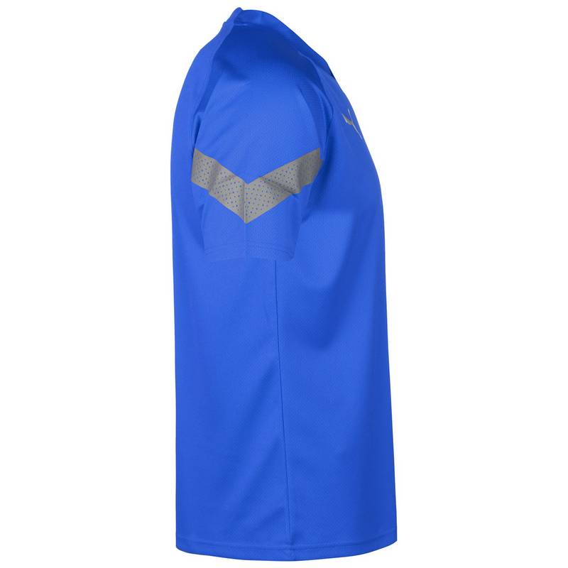 PUMA teamFinal Training Trikot Herren