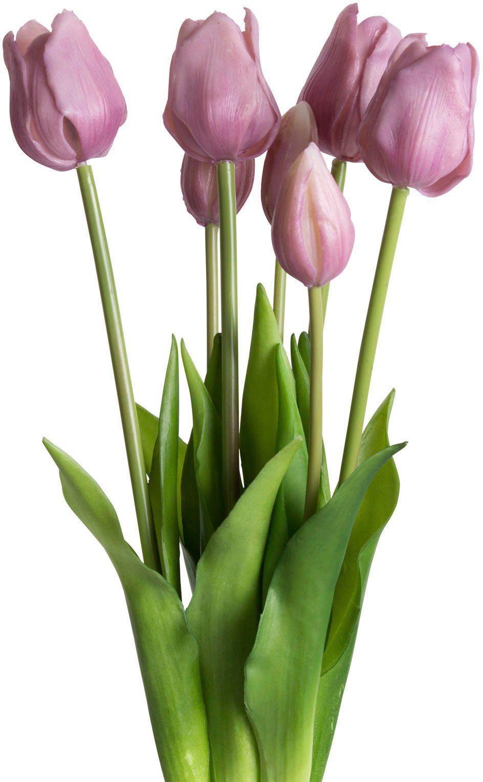 Kunstpflanze Maiva Tulpe, my home, Höhe 47 cm, Tulpenbündel im 7er-Set