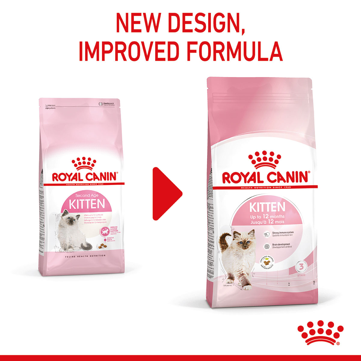 ROYAL CANIN KITTEN Trockenfutter für Kätzchen kaufen