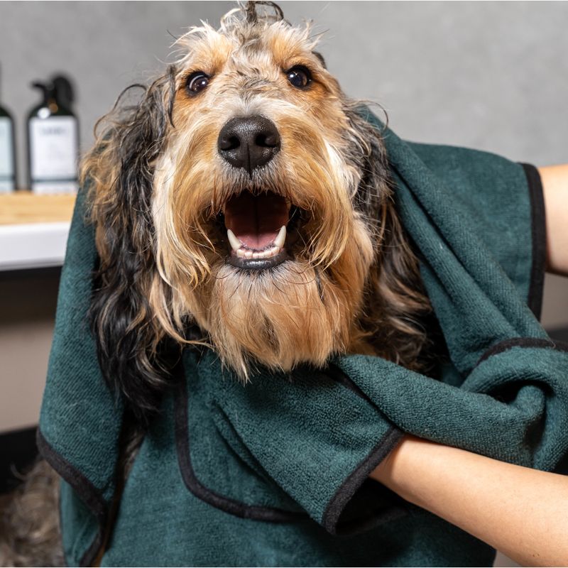 kooa Deluxe Mikrofaser Hundehandtuch zu TOP-Preisen