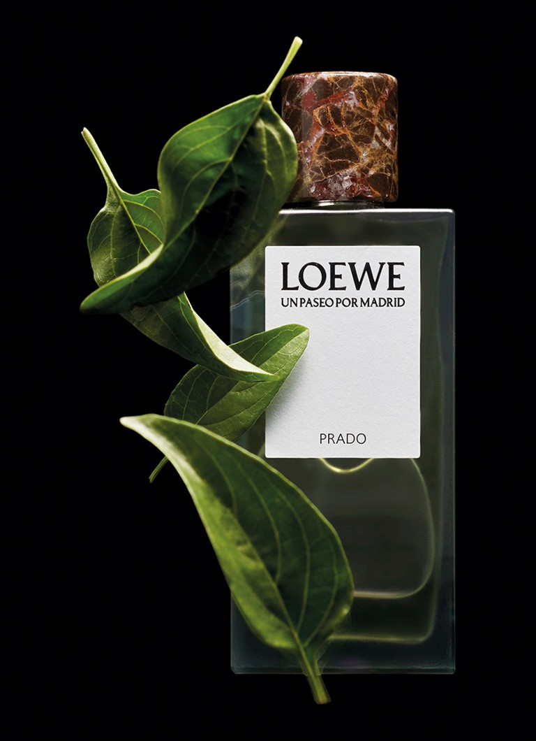 LOEWE Prado Apă de parfum