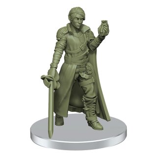 Dungeons & Dragons: Trials of Tempus - Standard Edition (EN) *Mängelexemplar*