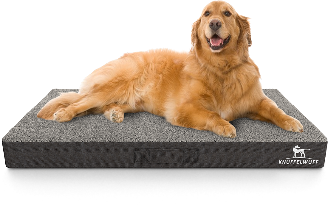 Knuffelwuff Hundematten Knuffelwuff orthopädische Hundematte Ellenie aus Teddymaterial und Velours grau L