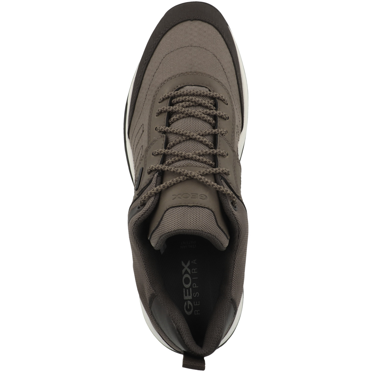 Geox U Terrestre B Abx A Sneaker low grau