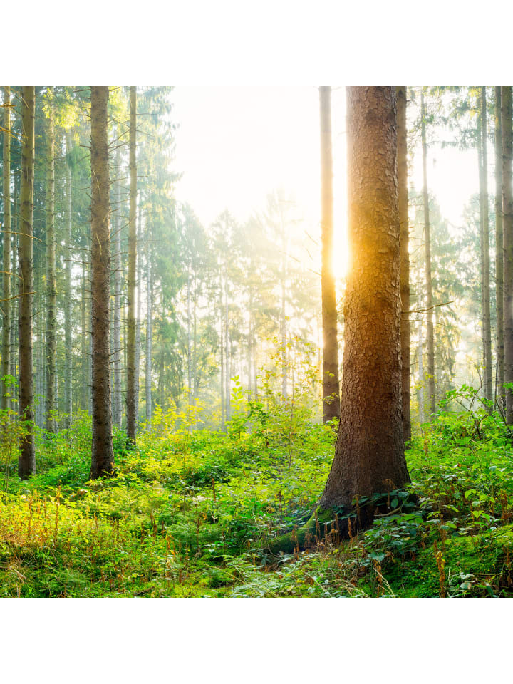 relaxdays 2x Schuhabstreifer in Natur günstig kaufen onesize