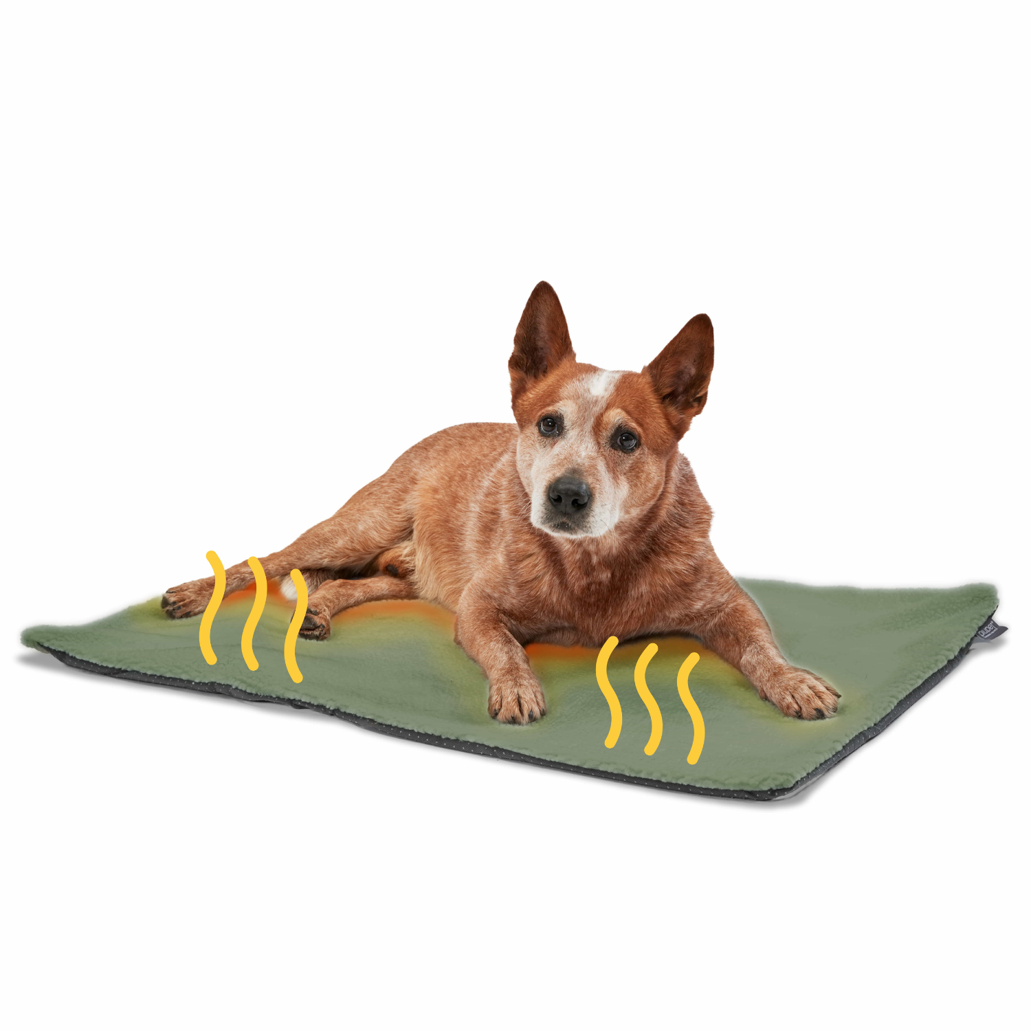 PIUPET Hundedecken PIUPET Selbstwärmende Decke